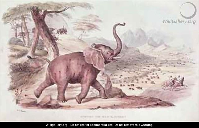 Hunting the Wild Elephant - William Cornwallis Harris