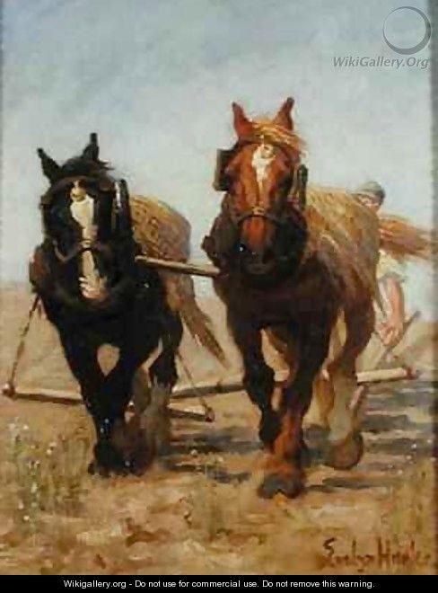 The Ploughing Team Sussex Downs - Evelyn Harke