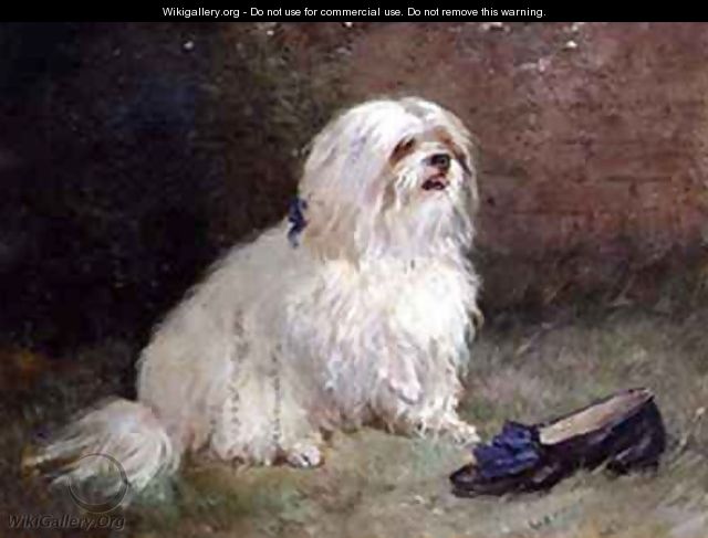 A Maltese Terrier - Heywood Hardy
