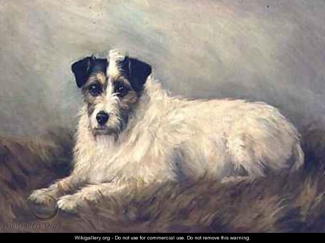 Terrier - Mabel Hastings