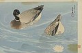 Ducks Taisho era - Goyo Hashiguchi