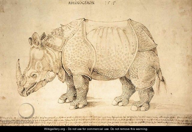 Rhinoceros 2 - Albrecht Durer