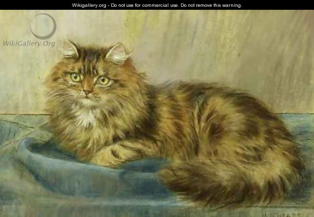 Persian Cat - Maud D. Heaps