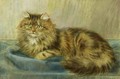 Persian Cat - Maud D. Heaps