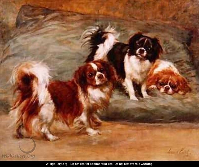 Three King Charles Spaniels on a Cushion - Maud Earl