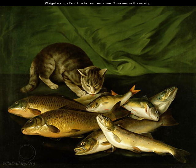 A Cat with Trout Perch and Carp on a Ledge - Stephen Elmer