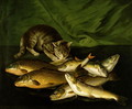 A Cat with Trout Perch and Carp on a Ledge - Stephen Elmer