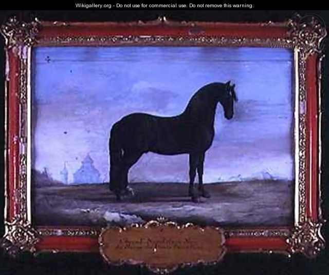 No 4 A black Neapolitan horse of the Spanish Riding School - Baron Reis d