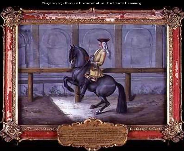 No 44 A Cap de More horse of the Spanish Riding School performing a dressage movement called a Curvet - Baron Reis d