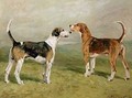 Two Hounds in a Landscape - John Emms