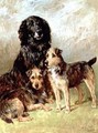 Family Pets - John Emms
