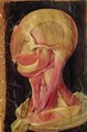 Anatomical drawing of the human head - Hieronymus Fabricius ab Aquapendente