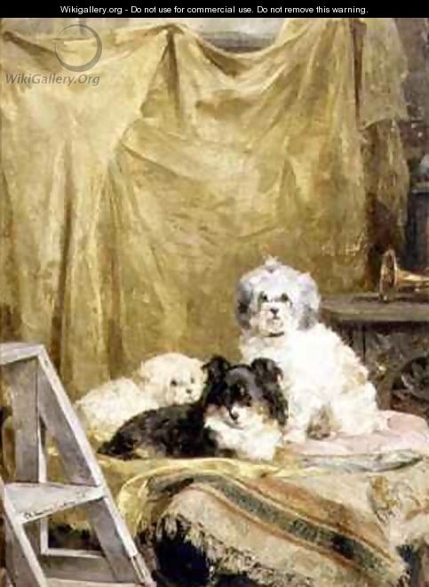Three Dogs - Charles van den Eycken