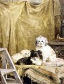 Three Dogs - Charles van den Eycken