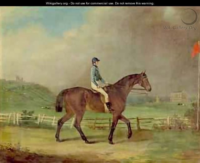 Mr Hindleys Rosina with the owner up on Lincoln racecourse with Cathedral beyond - P. Ewbank