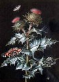 A Study of a Thistle with Insects - Barbara Regina Dietzsch