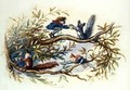 Goblins and Squirrels - Richard Doyle