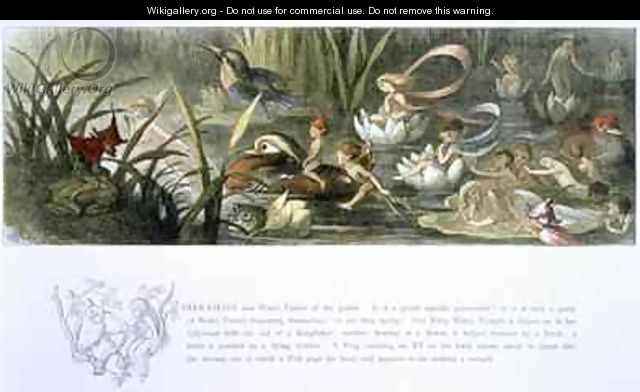 Water Lilies and Water Fairies - Richard Doyle