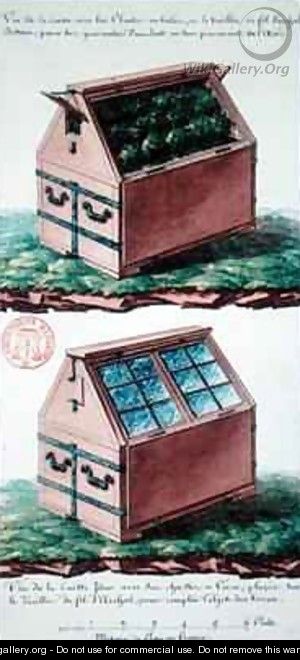 Illustration of a chest of drawers for transporting plants - Gaspard Duche de Vancy