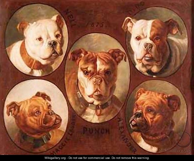 Nell Dido Punch Maggie lauder and Alexander English Bulldogs - Antoine or Tony Dury