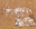 Study of Goats - Thomas Gainsborough