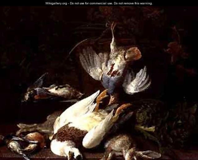 A Still Life of Dead Birds and a Rabbit - Hieronymus Galle I