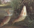 Trout at Winchester - Valentine Thomas Garland