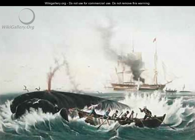 Attacking a Right Whale and Cutting In from The Whale Fishery - (after) Garneray, Louis Ambroise
