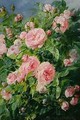 Pink Roses 2 - Pierre Garnier
