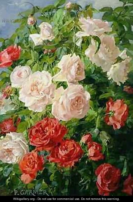 Pink Roses - Pierre Garnier
