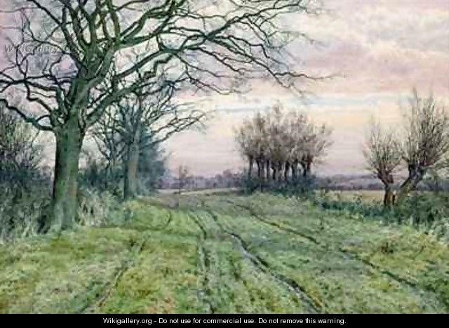 A Fenland Lane with Pollarded Willows - William Fraser Garden