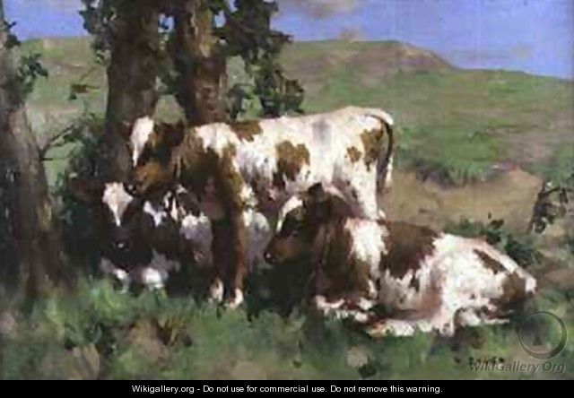 Three Calves in the Sunlight - David Gauld