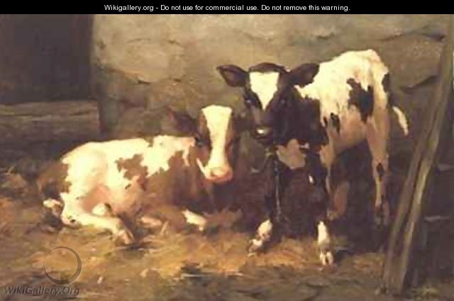 Calves in a Barn - David Gauld