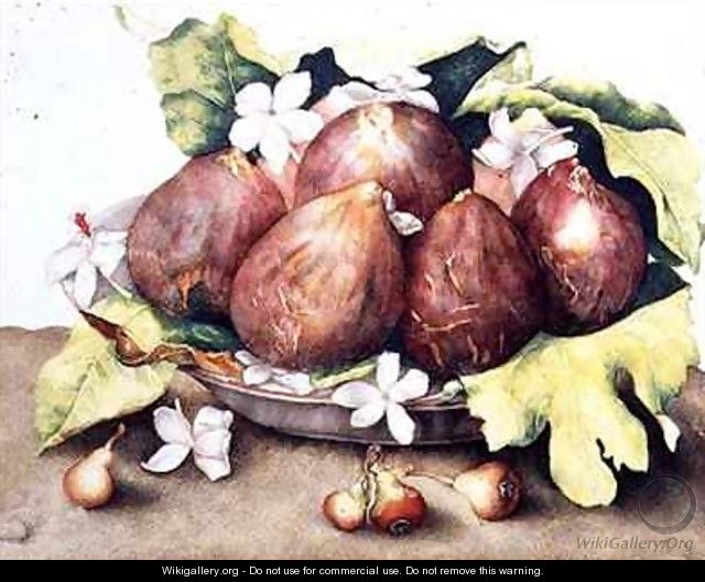 Figs on Leaves - Giovanna Garzoni