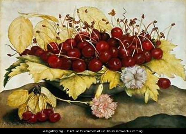Cherries and Carnations - Giovanna Garzoni