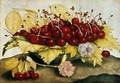 Cherries and Carnations - Giovanna Garzoni