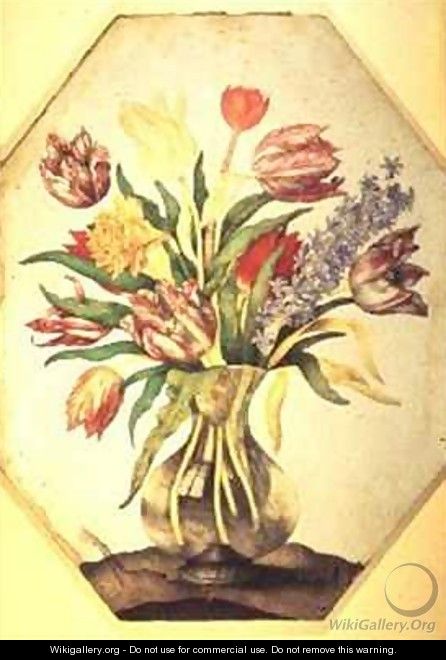 Glass Vase of Tulips with a Hyacinth - Giovanna Garzoni