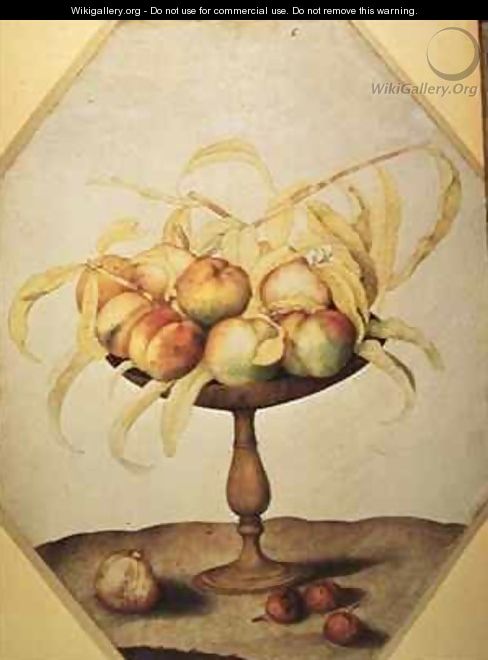 Bowl of Peaches - Giovanna Garzoni