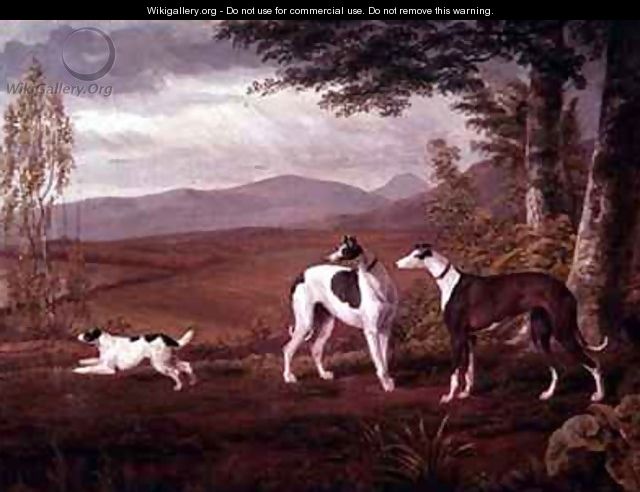 Greyhounds in a Landscape - George Garrard