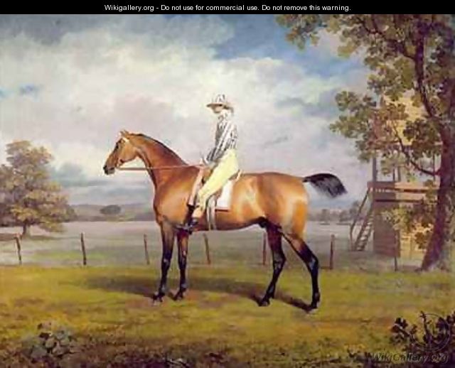 The Duke of Hamiltons Disguise with Jockey Up - George Garrard