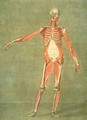 Deeper Muscular System of the Front of the Body - Arnauld Eloi Gautier DAgoty