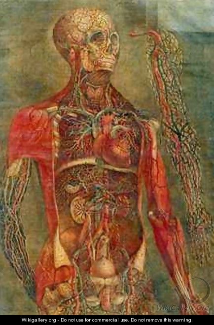 Internal organs of the body - Jacques - Fabien Gautier - Dagoty