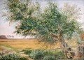 The Old Tree - Jacob Gensler