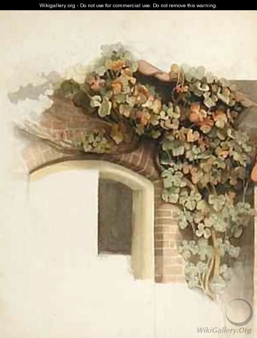 Grapevines on a Brick House - Johann Martin Gensler