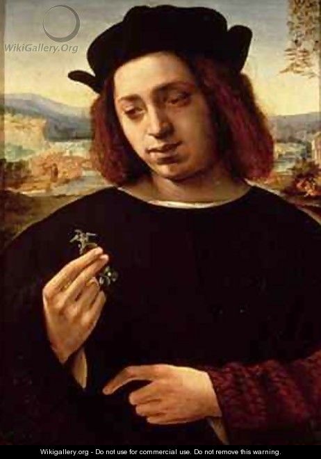 Portrait of a man or The Jeweller - Ridolfo Ghirlandaio