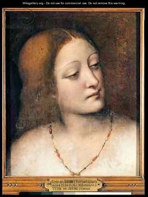 Portrait of a Young Woman - Giampietrino