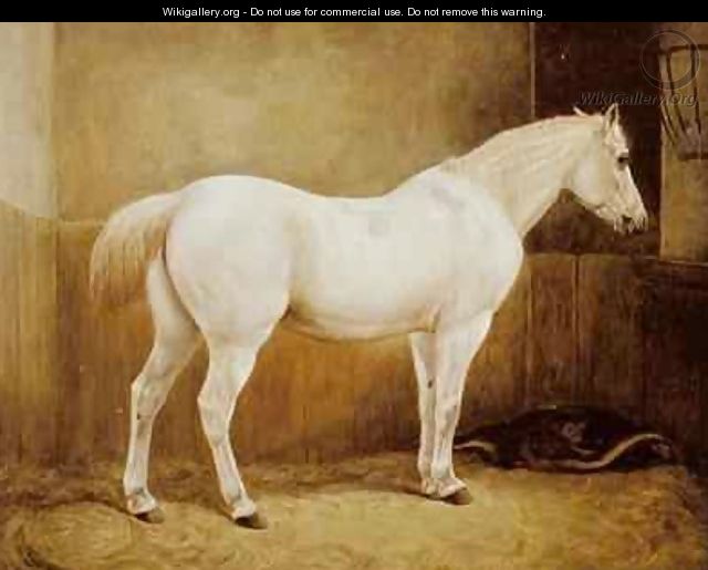 White Horse in a Stable - Geymuller