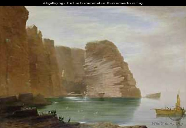 Island of Handa West Coast of Sutherland - James William Giles