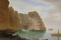 Island of Handa West Coast of Sutherland - James William Giles