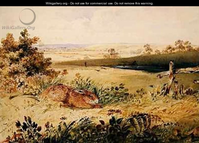 Hare in a Landscape - Newton Fielding